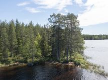 Kuhmo, Iivantiira, Petäjälahti-Kortelahti