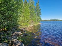 Sotkamo, Pieni-Kiimanen, Kaitainsami