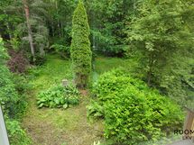 ...metsäiselle pihalle