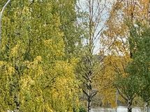 Kurkistus kaupunginlahdelle