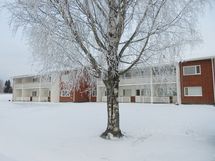 Rakennus puutarhan puolelta