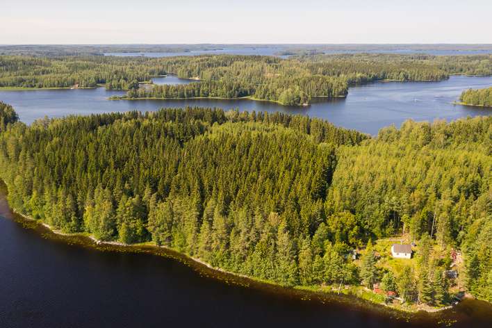Tontti, Murole - Näkymä 2