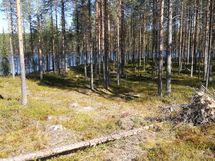 Näkymä tontin takalaidalta