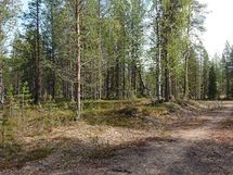 120-1 Kurjenkujan puolelta- from Kurjenkuja