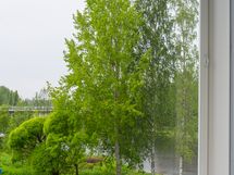 Maisemaa