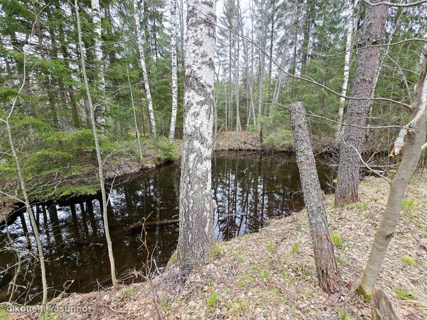 Asuntoilmoituksen kuva