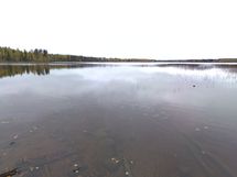 Tontti 1 näkymää