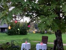 Pihaa saarnien katveessa