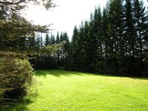 Pihaa