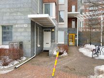 Sisäänkäynti talon edessä keltaisesta ovesta