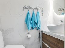 Image delivery from Zentuvo to Linear