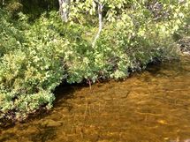 Kuhmo, Iso-Rommakkojärvi-Ontojärvi, Hyrynsalmentie