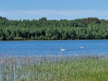 Sotkamo, Pieni-Kiimanen, Kaitainsalmi