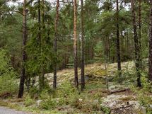 Salo, Särkisalo, Karhumäki