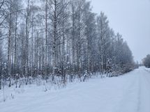 Siilinjärvi, Hamula