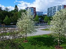 Näkymä parvekkeelta kuvattuna