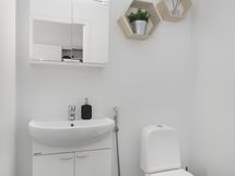 Erillinen wc