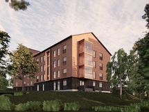 Lentue puiston puolelta