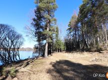 Pihapiiriä