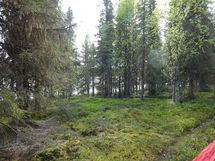 Rovaniemi-Karjalanjärvi