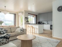 Olohuone ja keittiö