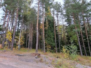 Kohdekuva