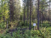 Puolanka, Pirttijärvi