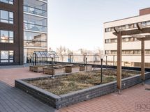 Sisäpiha
