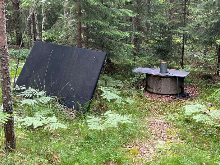 Tontti, 5 100 m², Rekijoki - Näkymä 3