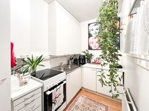 Kodikas ensimmäisen kerroksen yksiö, jossa oma pieni terassipiha. Lemmikit ovat tervetulleita!