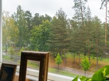 Näkymä puistokadulle