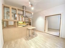 Olohuone ja avokeittiö