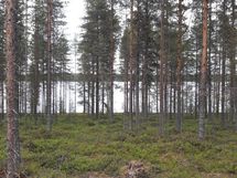 Kuhmo, Nurmesjärvi