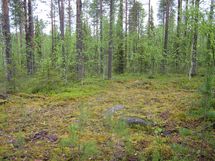Pello, Miekojärvi, Karhumaan ranta-asemakaava