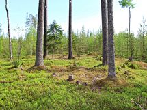 Kuhmo, Nurmesjärvi