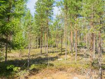 Savonlinna, Kiviapaja, Suuri Siikajärvi