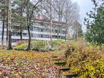 Taloyhtiön sisäpihaa.