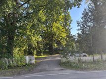 Kaskitieltä kuvattuna