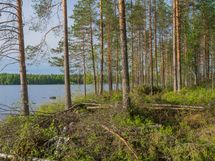 Varkaus, Miehalanjärvi, Sopalanniementie