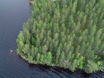 Saarijärvi, Kiesimenjärvi