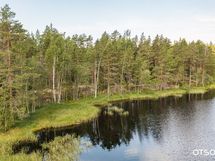 Pitkältä ranta-alueelta löytyy myös alavampia kohtia.