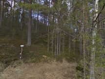 7-1 Saunalahti näkymä rannalta tontille