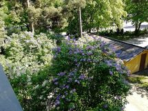 Myyjän ottama kesäkuva