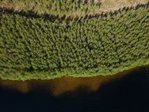 Mäntyharju, Korpijärvi