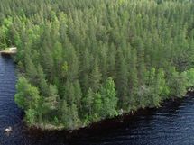 Saarijärvi, Kiesimenjärvi