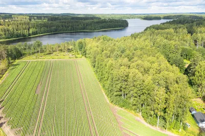 Tontti, 8 180 m², Teväntö - View 4