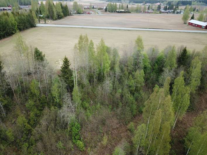 Tontti, Siilinjärvi, Siilinjärvi