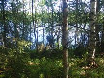 Sodankylä, Petkula