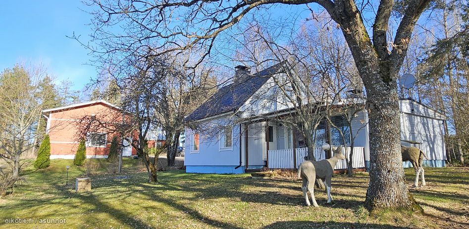 Asuntoilmoituksen kuva