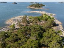 Utterböte eteläkärki